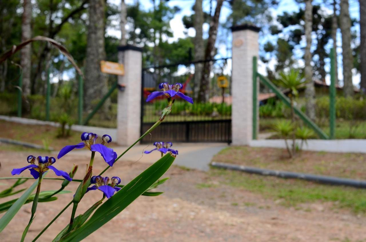 Pousada Paraiso Das Araucarias Otel Monte Verde  Dış mekan fotoğraf