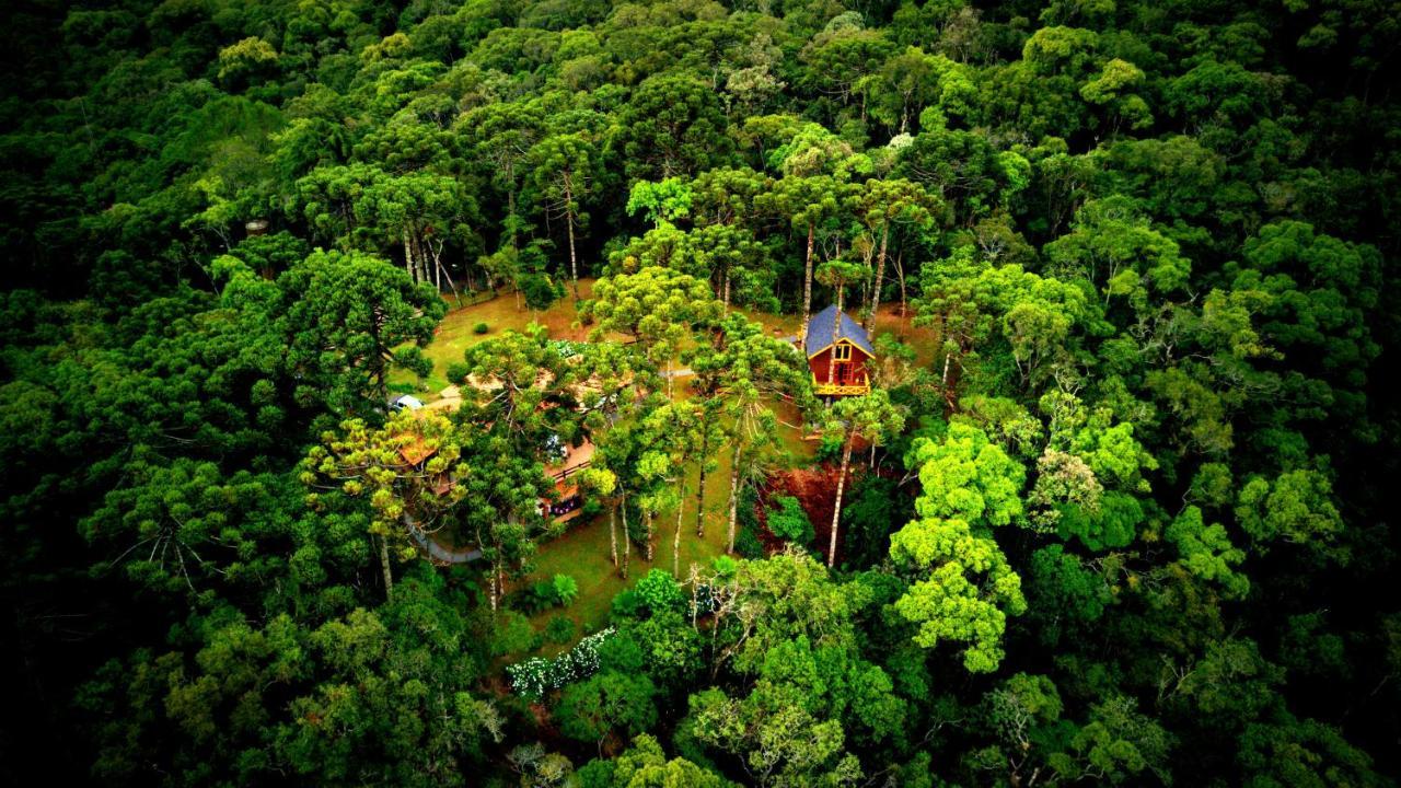 Pousada Paraiso Das Araucarias Otel Monte Verde  Dış mekan fotoğraf